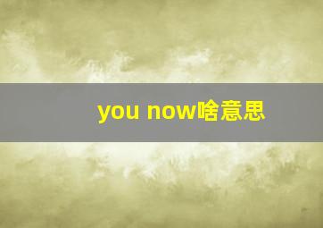 you now啥意思